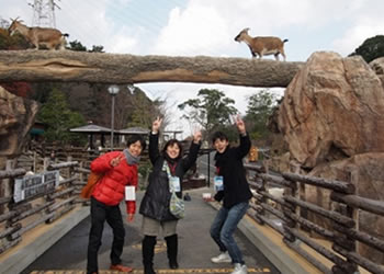 Tour of ITOZU NO MORI Zoological Park