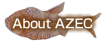 About AZEC